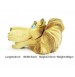 Imported Lion Head Toy